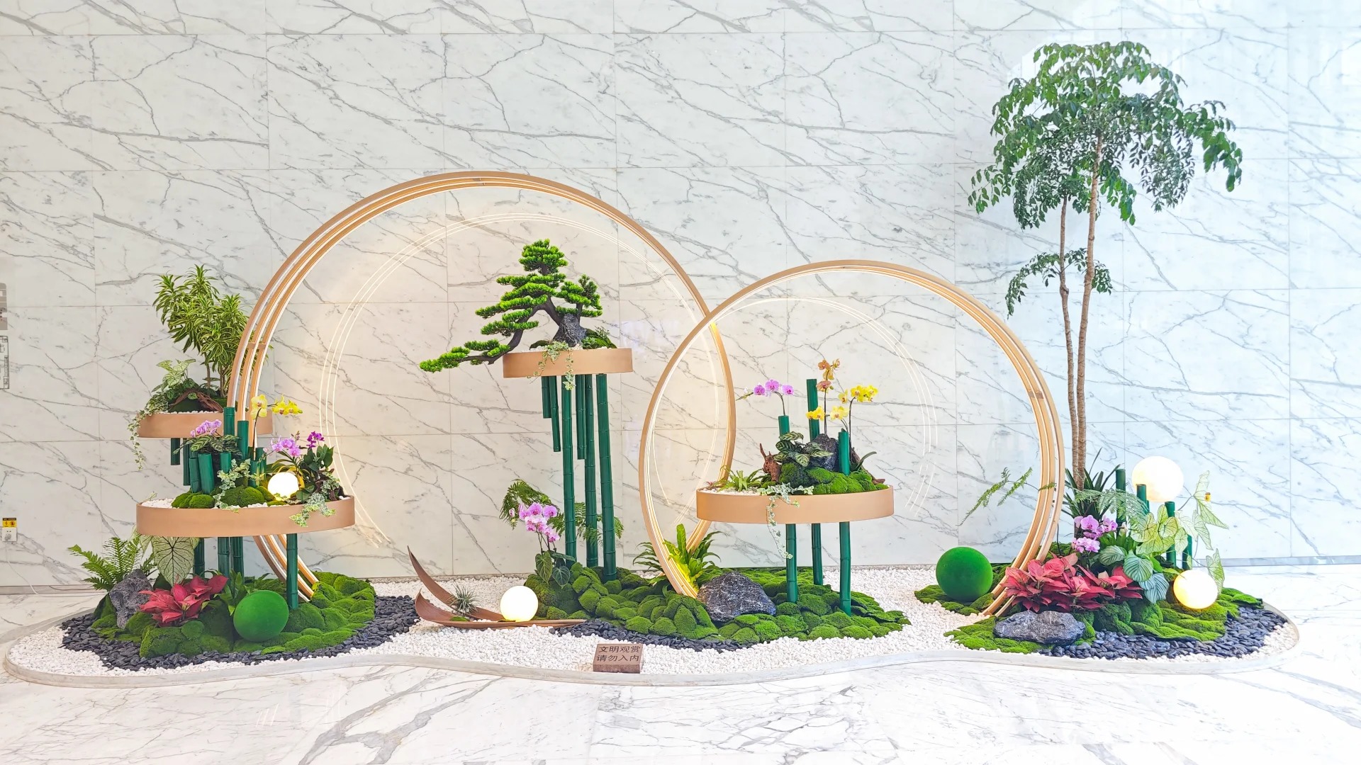 了解北仑绿植出租价格，给生活添一抹绿韵