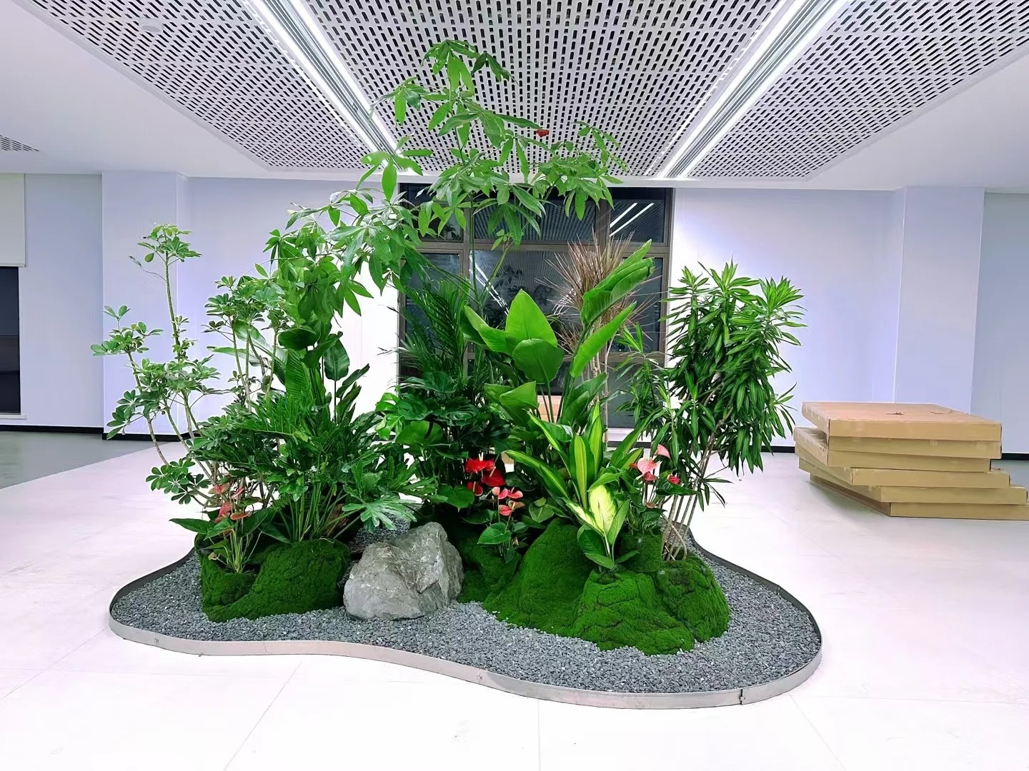 专业盆景租摆哪家强？宁波镇海有答案！