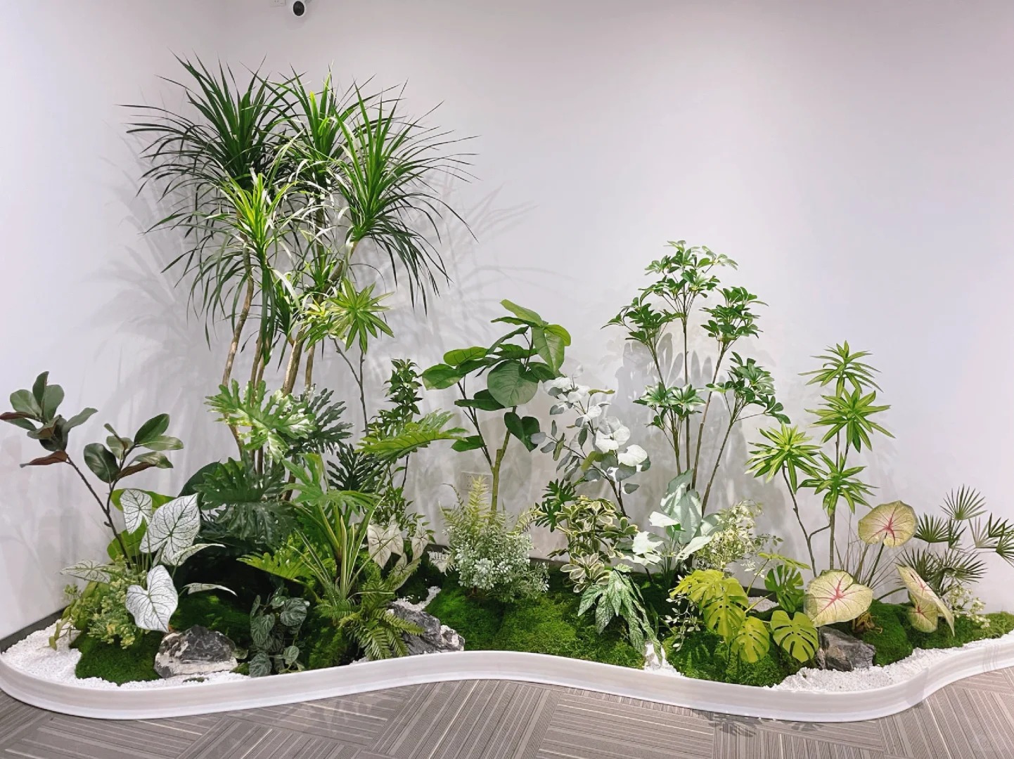 专业盆景租摆哪家强？宁波镇海有答案！